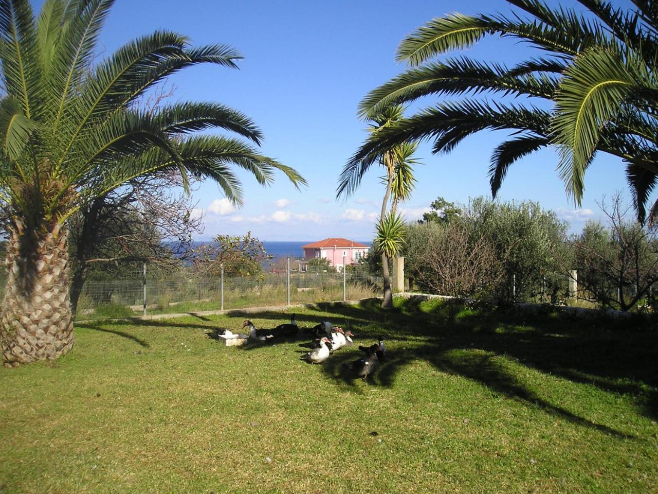 Nikolaos Studios Skala Skala  Экстерьер фото